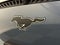 2023 Ford Mustang Mach-E California Route 1
