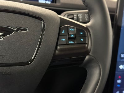 2023 Ford Mustang Mach-E California Route 1
