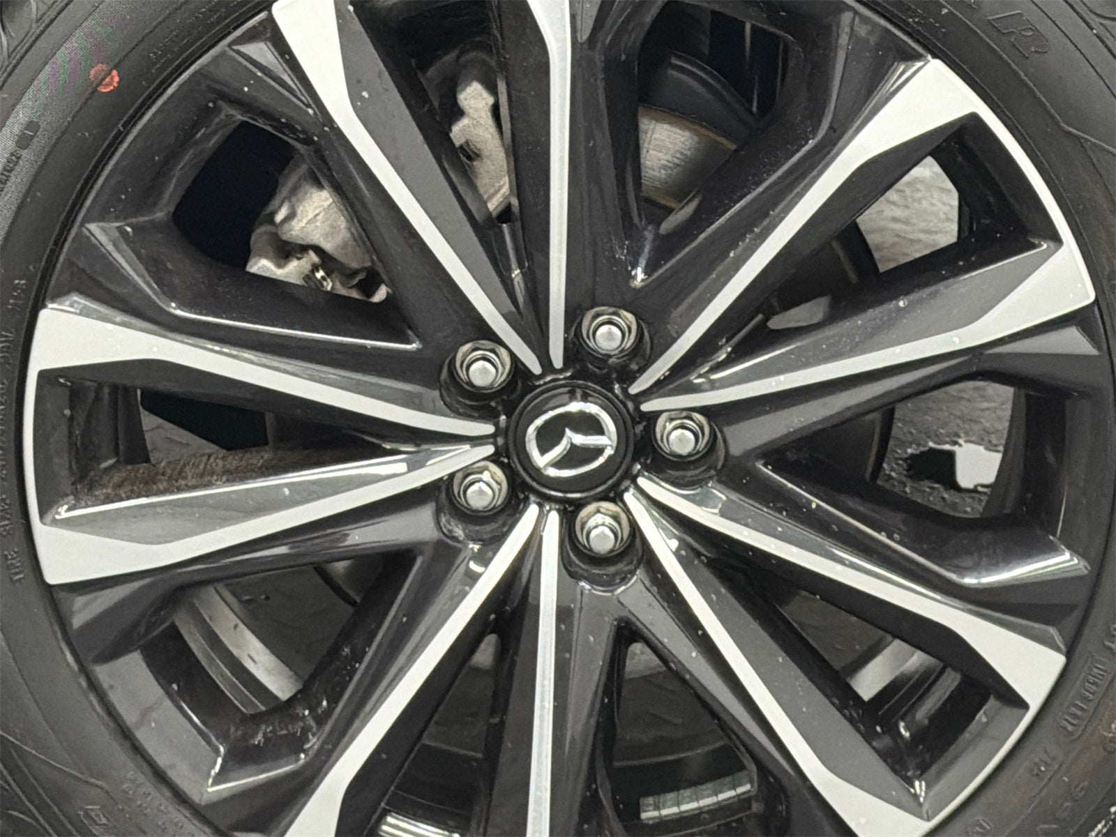 2025 Mazda Mazda CX-50 2.5 S Premium Plus Package