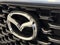 2023 Mazda Mazda CX-50 2.5 Turbo Premium Plus Package