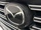 2022 Mazda Mazda CX-9 Grand Touring