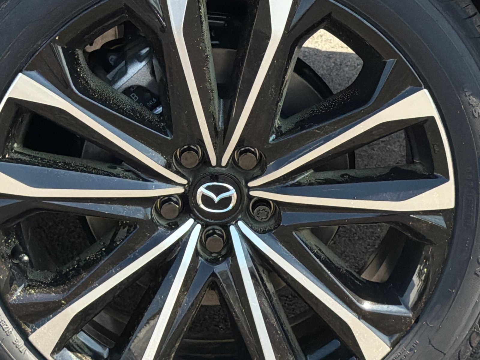 2026 Mazda Mazda CX-50 2.5 S Premium AWD